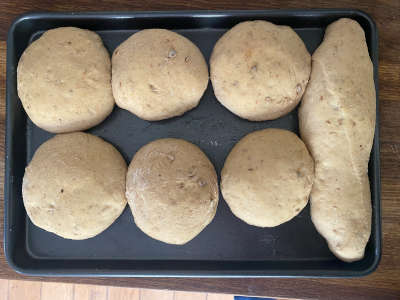 Brown buns proved before baking