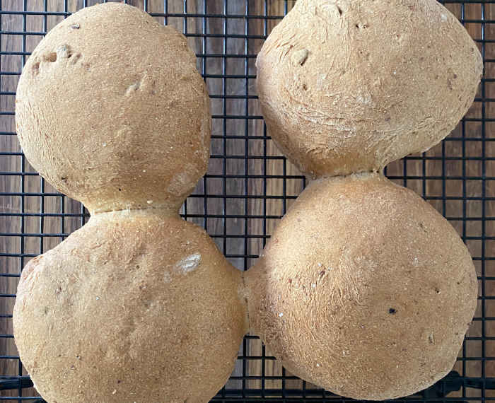 Malted buns with crunchy shell